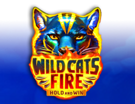 Wild Cats Fire
