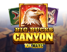 Big Bucks Canyon 10k Ways