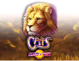 Cats Split 'n' Win