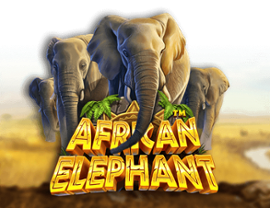 African Elephant