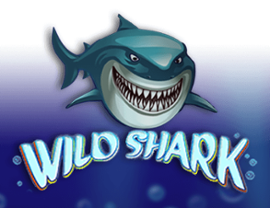 Wild Shark