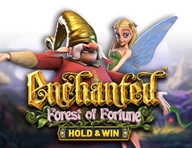 Enchanted: Forest of Fortune