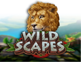 Wildscapes